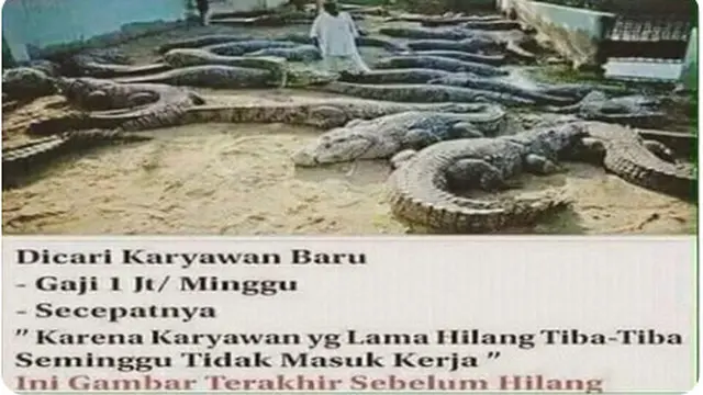 6 Lowongan Pekerjaan Uji Nyali Ini Nyeleneh, Mikir Dua Kali Sebelum Melamar