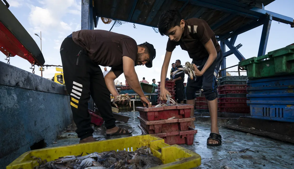 Nelayan menyortir kepiting di dek sebelum dikirim ke pasar setelah sejumlah kapal diizinkan kembali ke laut di kawasan Gaza (23/5/2021). Pelelangan hasil laut di Gaza kembali bergeliat usai sejumlah kapal nelayan diizinkan kembali melaut pasca Israel-Hamas gencatan senjata. (AP Photo/John Minchillo)