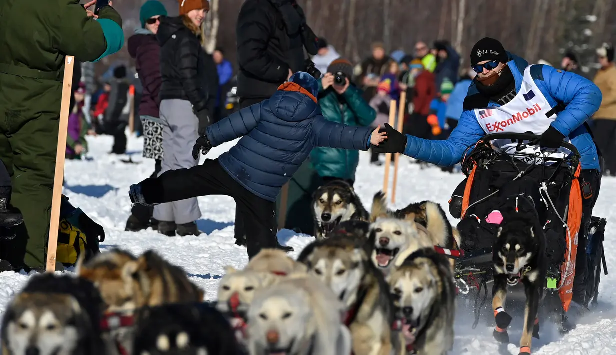 Dallas Seavey membungkuk untuk melakukan high-five saat Iditarod Sled Dog Race di Deshka Landing di Willow, Alaska, Minggu (7/3/2021). Jarak yang harus ditempuh biasanya hampir 1.000 mil dan tahun ini dikurangi menjadi sekitar 100 mil. (Marc Lester/Anchorage Daily News via AP)