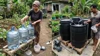 Perbandingan Ternak Lele dalam Galon vs Drum di Lahan Sempit: Mana yang Lebih Untung?