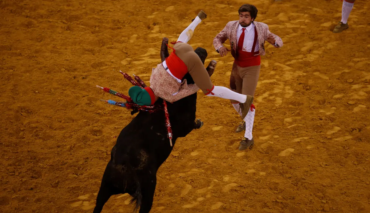 Anggota Coruche Forcados terlihat memegang kepala banteng di Campo Pequeno, Lisbon, Portugal, (2/6/2016). Peserta hanya menggunakan tangan kosong untuk menaklukan banteng. (REUTERS/Rafael Marchante)