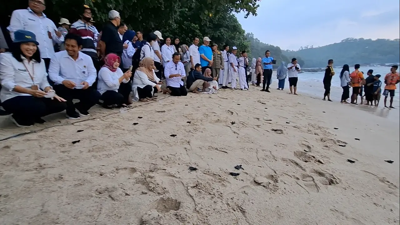 Pelepasan Tukik di Pantai Wediombo