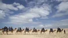 Wisatawan menikmati perjalanan manaiki unta dipandu pawangnya di sepanjang bukit pasir di Stockton Beach, Australia, Jumat (6/11/2020). Stockton Beach adalah rumah bagi bukit pasir bergerak terbesar di Belahan Bumi Selatan dengan beberapa di antaranya Tinggi 30 meter (98 kaki). (AP Photo/Mark Baker)