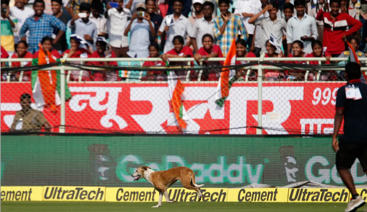 Pertandingan kriket sedang berlangsung ketika anjing liar tiba-tiba berlari masuk lapangan saat India unggul dengan skor 210-2 atas Inggris di Visakhapatnam, Andhra Pradesh, India pada 17 November 2016 silam.  (AP Photo/Aijaz Rahi)