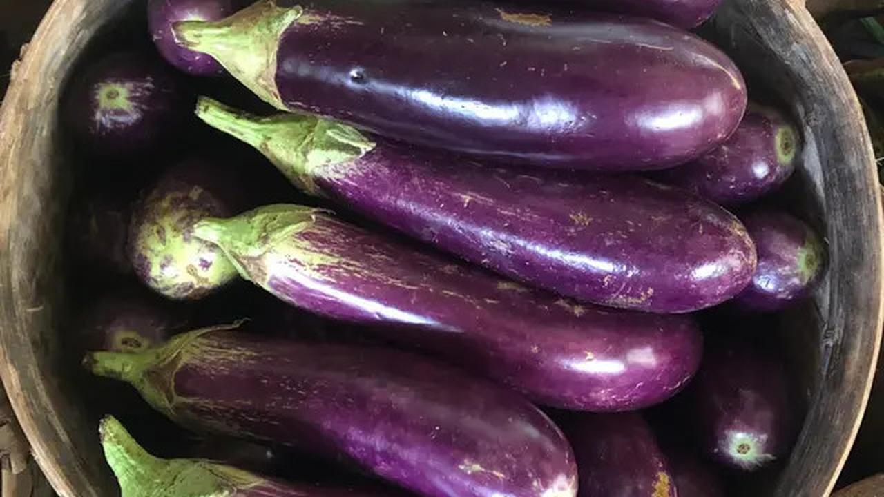 Resep Terong Isi Daging Cacah untuk Menu Diet yang Mudah Dibuat