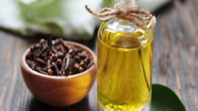 Ilustrasi Minyak Cengkeh (Sumber: Google/Merdeka.com)