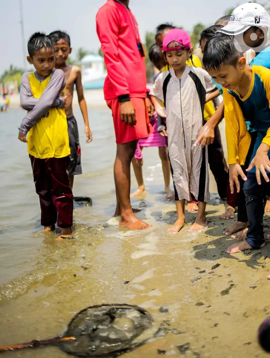 Anak-anak memperhatikan ubur-ubur tangkapan petugas di Pantai Lagoon, Ancol Taman Impian, Jakarta, Rabu (9/10/2019). Pihak Ancol telah memasang jaring agar ubur-ubur itu tidak sampai ke tempat warga yang sedang berenang. (Liputan6.com/Faizal Fanani)