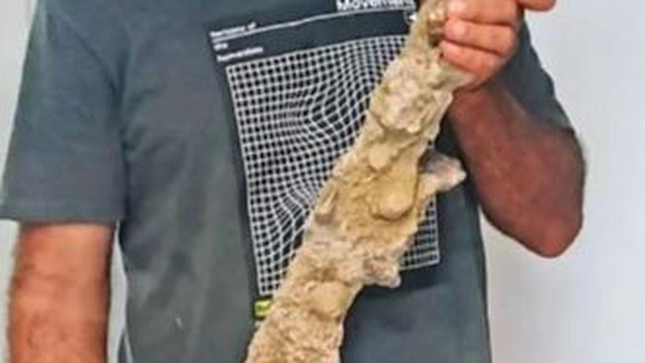 Ini penampakan pedang yang ditemukan, penuh lapisan kerang dan pasir.

Foto: Badan Kepurbakalaan Israel (IAA)