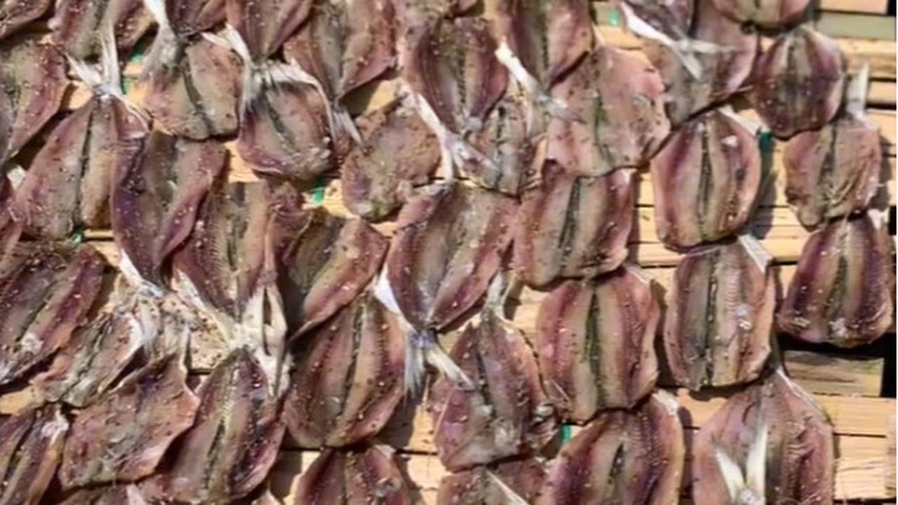 Mencicipi Dendeng Ikan Manis Khas Indramayu, Oleh-Oleh Unik Berbahan Ikan Tembang yang Tak Boleh Dilewatkan