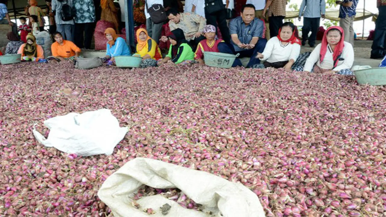 Pembangunan Bendung Karet Jadi Solusi Produktivitas Petani Bawang