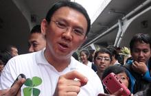 Punya izin KKP, Ahok yakin proyek reklamasi tak bahayakan biota laut