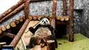 Panda raksasa (ailuropoda melanoleuca) memegangi bambu bermain di Kebun Binatang Moskow, Rusia, Sabtu (13/7/2019). (Kirill KUDRYAVTSEV/AFP)