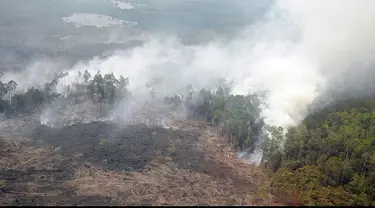 Kabut asap di Bengkulu kembali menebal. Hal ini akibat dari perubahan arah angin dari Timur Laut ke Timur dalam 2 hari.  Prakirawan Badan Meteorologi Klimatologi dan Geofisika (BMKG) Bengkulu Anjasman menyebutkan, perubahan arah angin berdampak kepada men