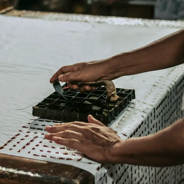 Perjalanan Brand Batik Dama Kara Meretas Berkah dengan Berdayakan Anak-anak Disabilitas