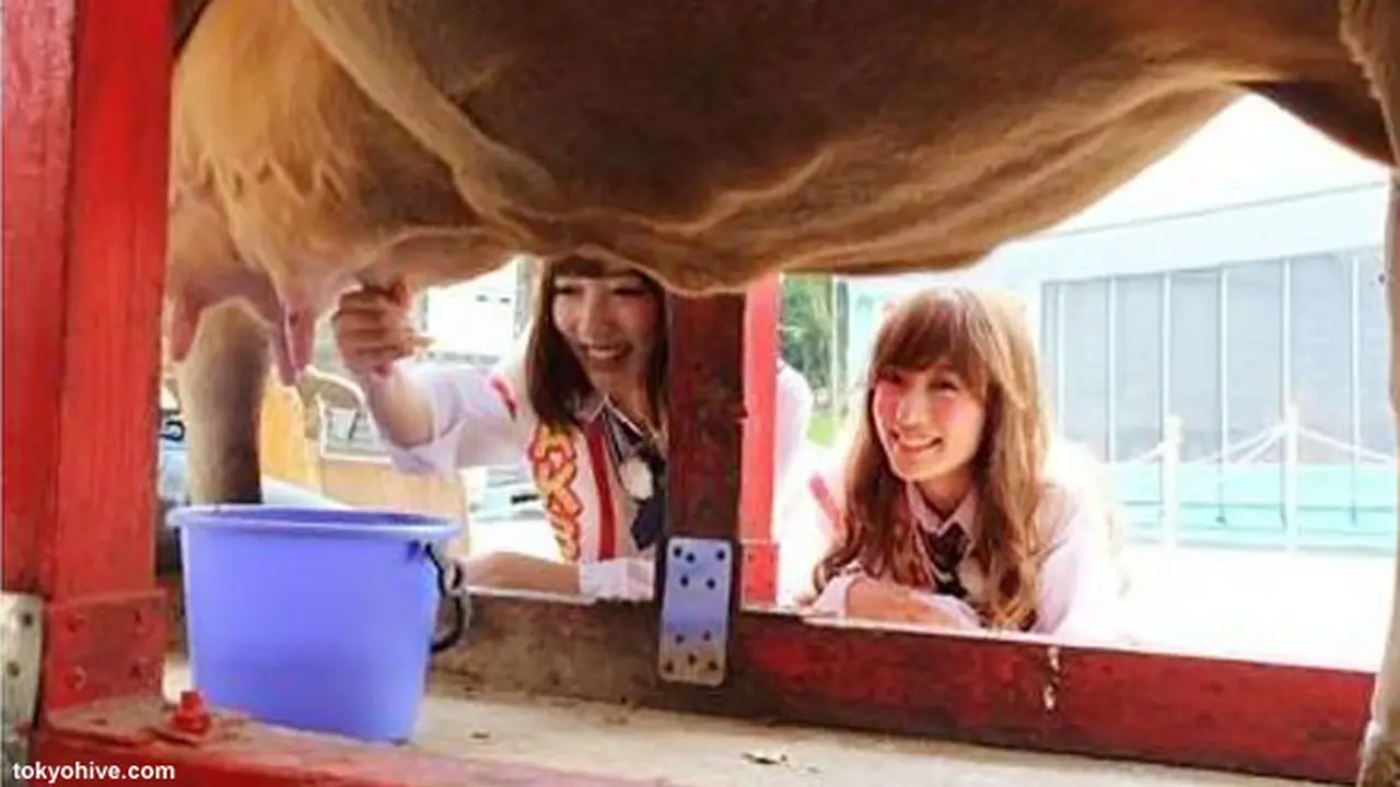 ayaka-umeda-misato-nonaka-130701b.jpg