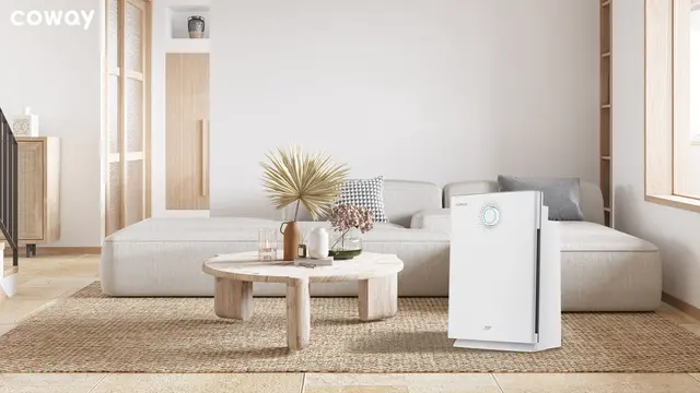 Foto penyaring udara Coway