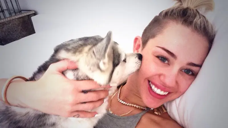 Miley Cyrus, Kenang Anjing Lama dengan Tato