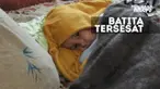 Hutan Siberia dikenal dengan suhunya yang dingin dan tempat tinggal berbagai binatang buas.