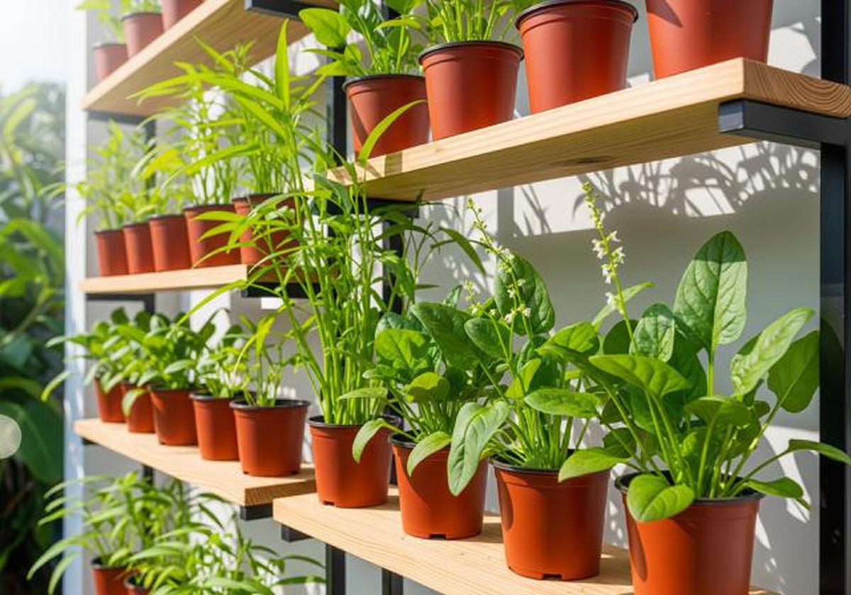 Kebun Sayur Vertikal Menggunakan Rak Bertingkat/Desain Kebun Sayur Rumahan untuk Kangkung dan Bayam (Sumber: gemini.com)