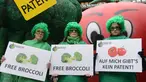 Brokoli kaya akan kandungan antioksidan. Selain itu brokoli juga tinggi kandungan enzim yang membantu memperlancar sistem pencernaan. Brokoli mentah lebih disarankan untuk dikonsumsi karena tinggi tingkat nutrisi di dalamnya. (AFP PHOTO / CHRISTOF STACHE)