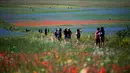 Wisatawan berjalan di tengah-tengah bunga mekar dan ladang lentil di Castelluccio, sebuah desa kecil di wilayah Umbria, Italia tengah pada 6 Juli 2020. (Tiziana FABI / AFP)
