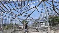 Jangankan Manusia, Hewan di Gaza Menderita Akibat Serangan Israel