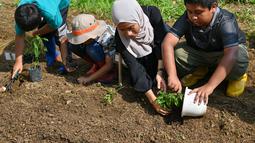Hari Hutan Internasional diperingati bertujuan untuk menumbuhkan kesadaran publik tentang pentingnya keberadan semua jenis hutan dan pohon di luar hutan. (AFP/CHAIDEER MAHYUDDIN)