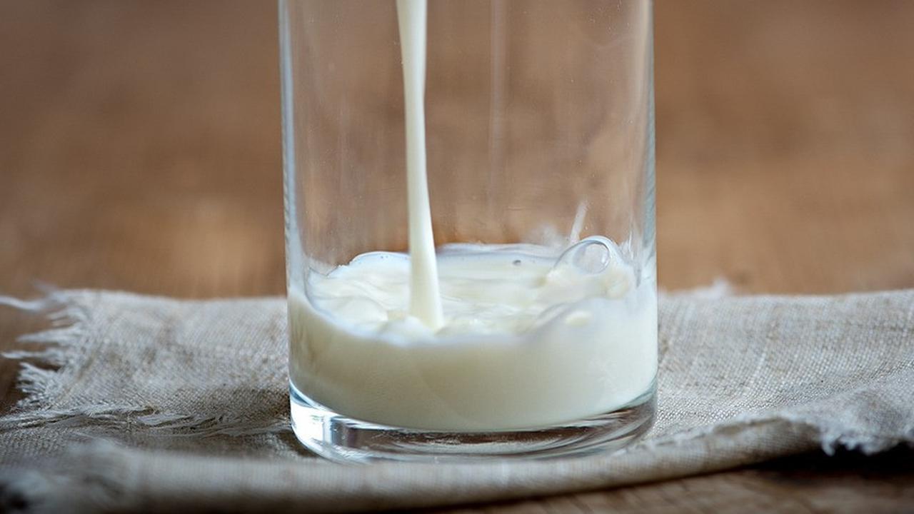 4 Mitos Oat Milk dan Penjelasan Faktanya, Perlu Diketahui