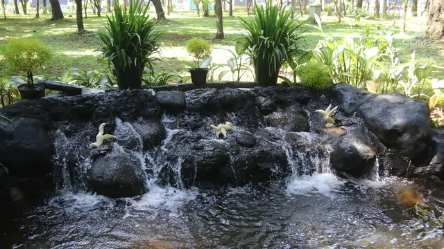 Ilustrasi Kolam Ikan Koi