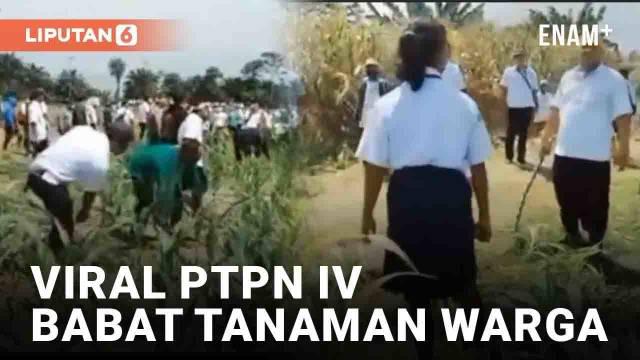 Video pembabatan tanaman oleh PTPN IV viral di media sosial. Disebut terjadi di Bah Jambi, Simalungun, Sumatera Utara. Sejumlah orang dari PTPN IV disebut membabat habis tanaman jagung milik warga.