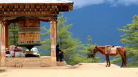 5 Rekomendasi Wisata Wellness di Bhutan bagi Para Pencari Ketenangan