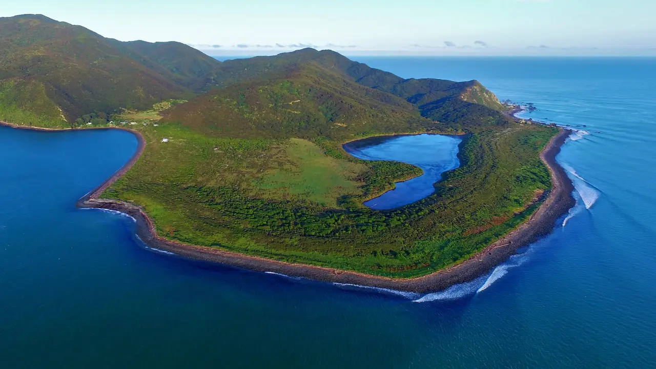 Kapiti Island Nature Tours, Wellington (Foto Dok: The New Zealand)