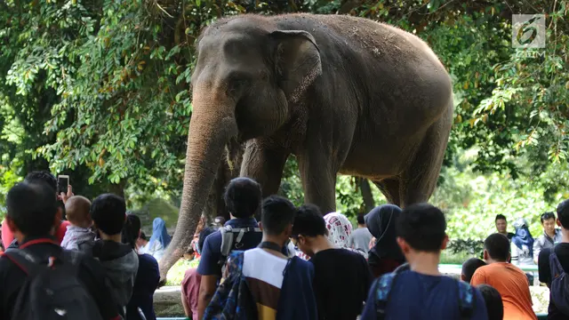 Kebun Binatang Ragunan