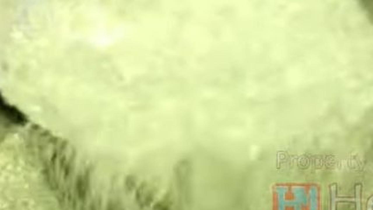 Gunakan Daun Jeruk Purut Tua