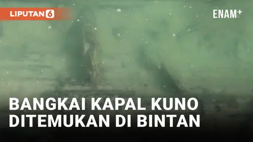 VIDEO: Geger! Penemuan Bangkai Kapal Abad ke-12 di Bintan