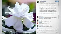 Ani Yudhoyono Minta Maaf di Instagram