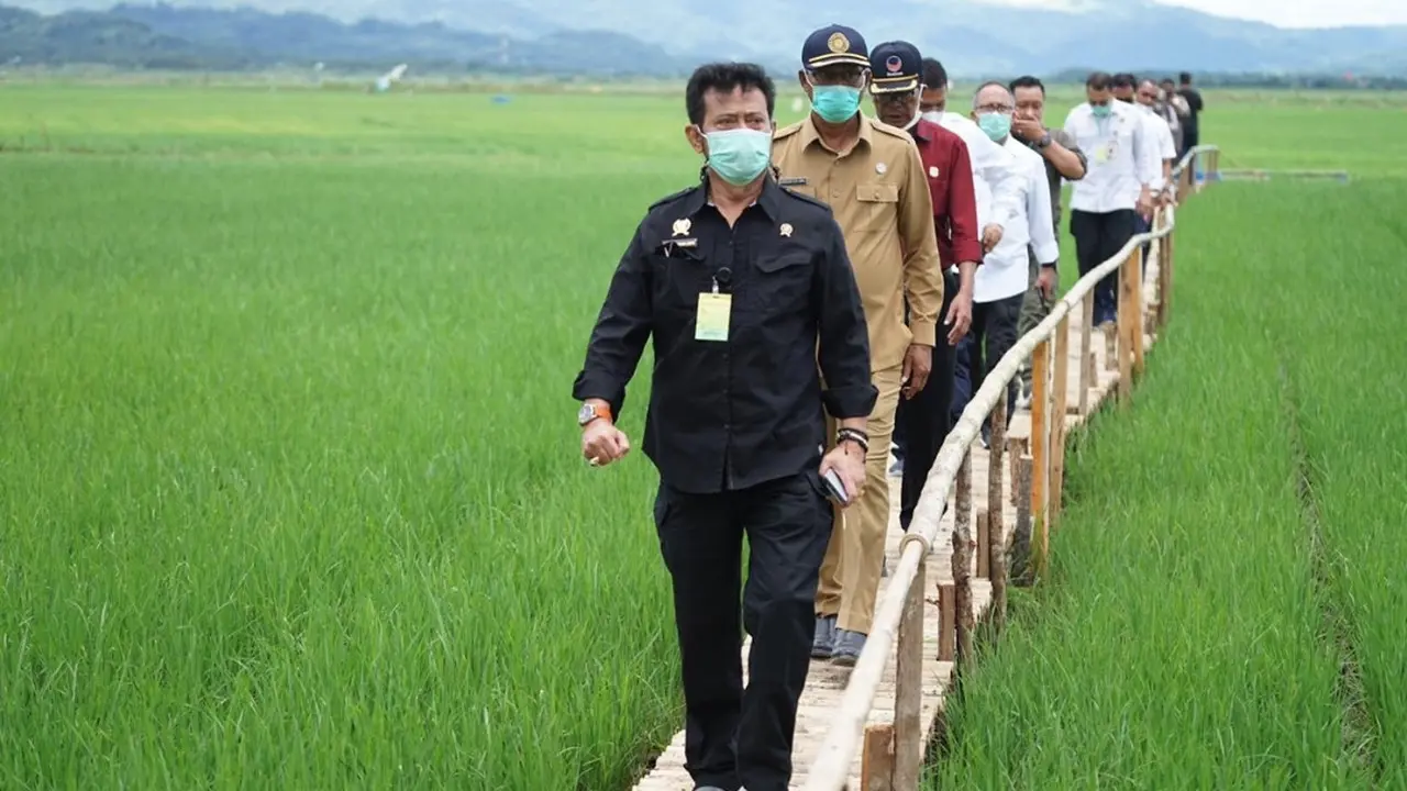 Penyaluran Pupuk Subsidi di Tegal Ombo Lamtim Berlangsung Lancar