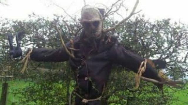 4. Hama Pasti Takut Dengan Monster Akar ini