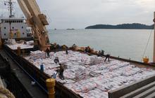 Anggota DPR Khawatir Harga Beras Kembali Naik Gara-Gara Ini
