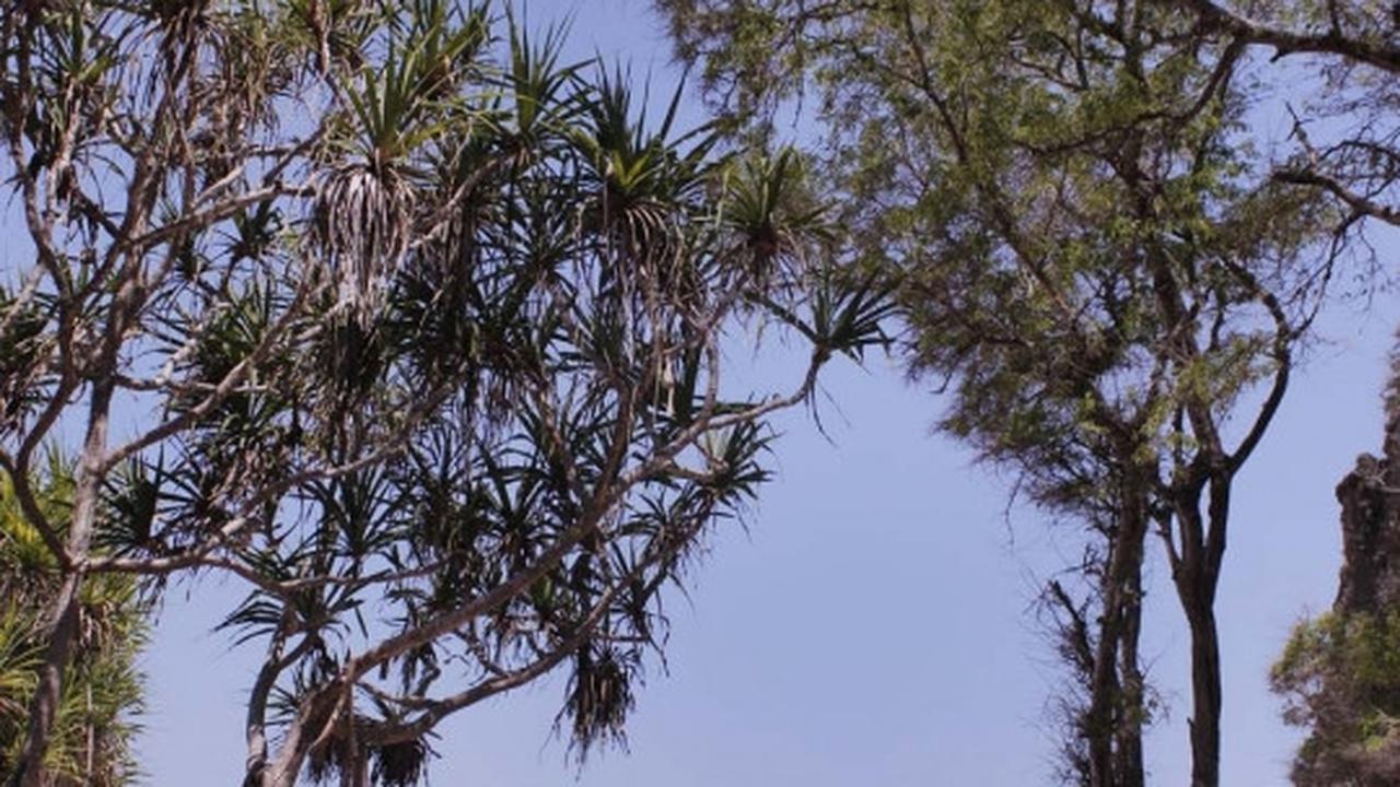 Keindahan Pantai Lingal, surga tersembunyi di pelosok Alor