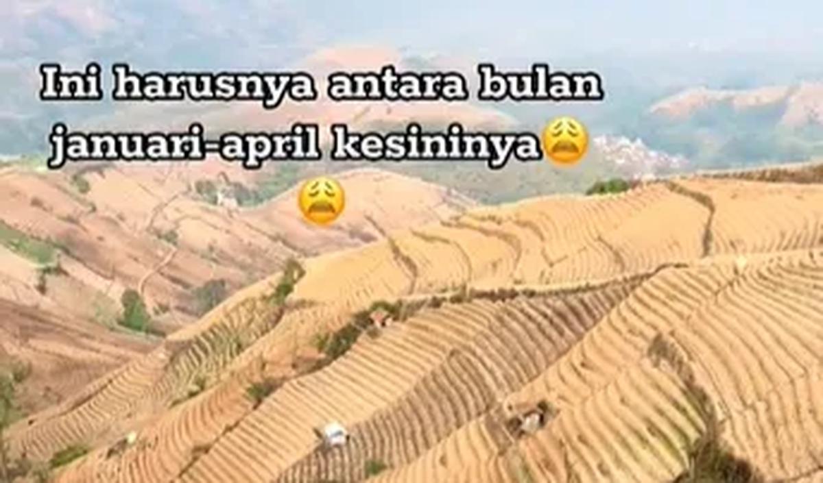 Terasering yang Mengering