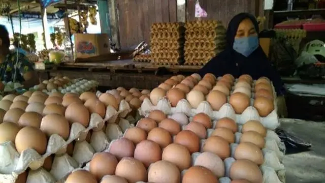 Ilustrasi telur ayam  ras di pasaran (Istimewa)