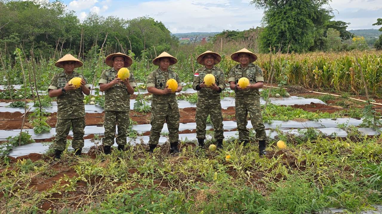 TNI AU