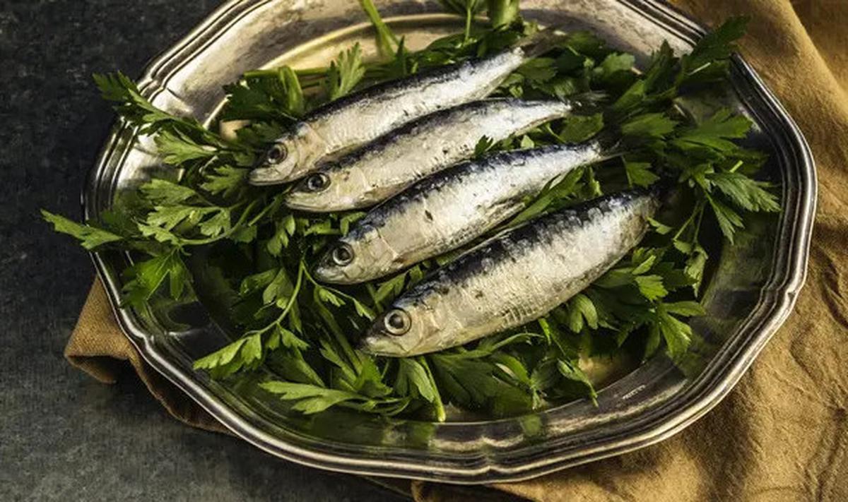 6 Manfaat Kesehatan Mengonsumsi Ikan Sarden, Menyehatkan Jantung hingga Mata