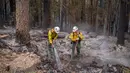 <p>Tim pemadam kebakaran bekerja di titik-titik api Cedar Creek, sebelah timur Oakridge, Oregon, Senin (12/9/2022). Selain memaksa penduduk untuk melarikan diri, api yang berkobar di luar kendali juga mengancam kota-kota serta ribuan rumah. (Photo by Dan Morrison/AFP)</p>