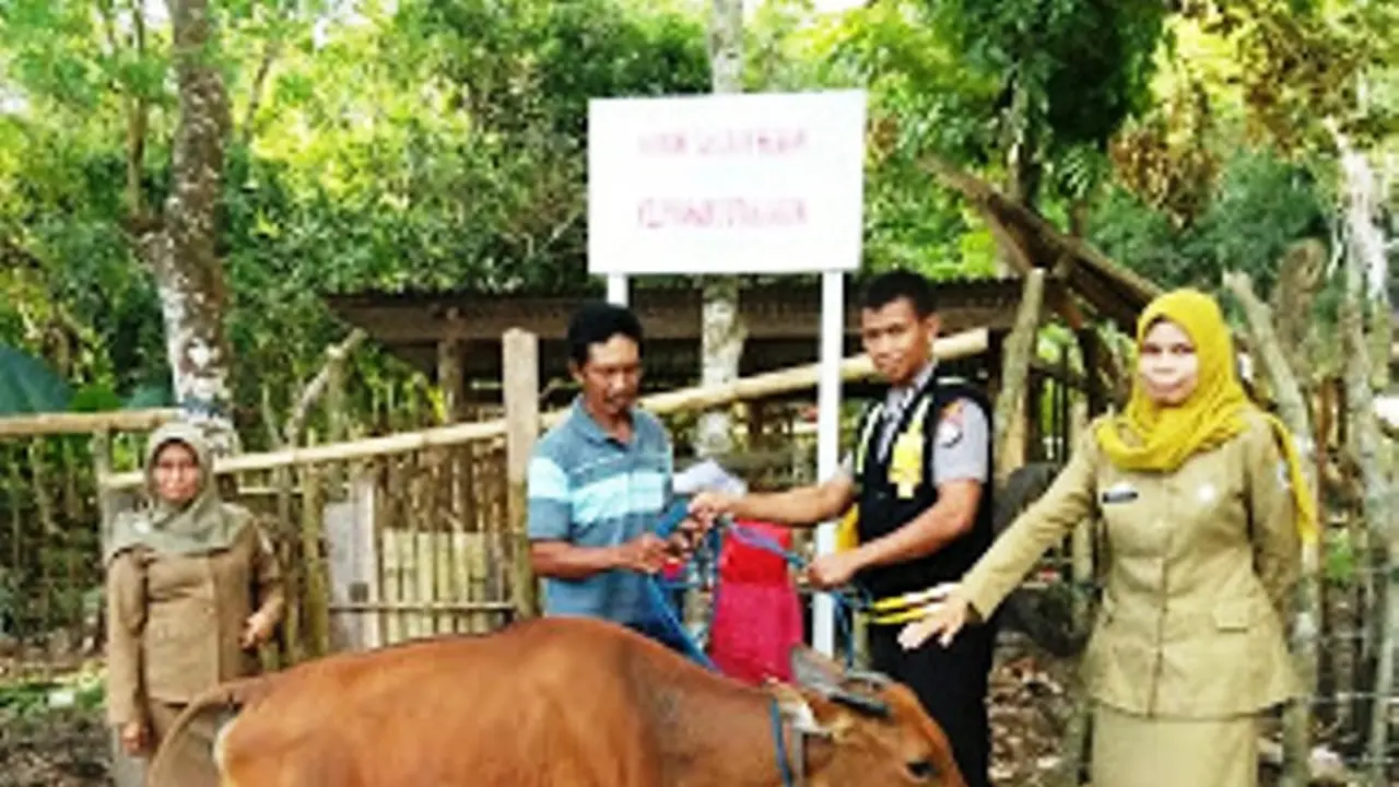 Ternak sapi