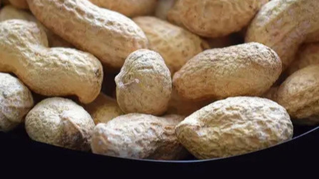 Tips Merebus Kacang Tanah agar Cepat Empuk dan Gurih, Irit Gas dan Praktis