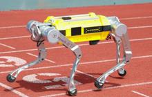 Robot dari China Pecahkan Rekor dengan Kemampuan Lari 100 Meter, Ini Catatan Waktunya