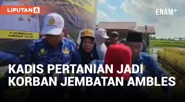 Walah! Jembatan Ambruk Saat Dilalui Kepala DPKP Kalsel