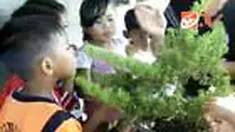 Banyak cara mengisi liburan dengan murah meriah. Di Garut dan Purbalingga, para murid sekolah dasar menghabiskan waktu kosong dengan menanam bonsai dan mempelajari ilmu alam seperti Geografi dan Fisika.